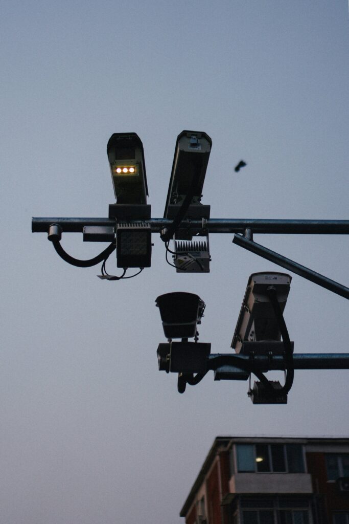 Securing Authoritarian Capitalism in the Digital Age: The Political Economy of Surveillance in China